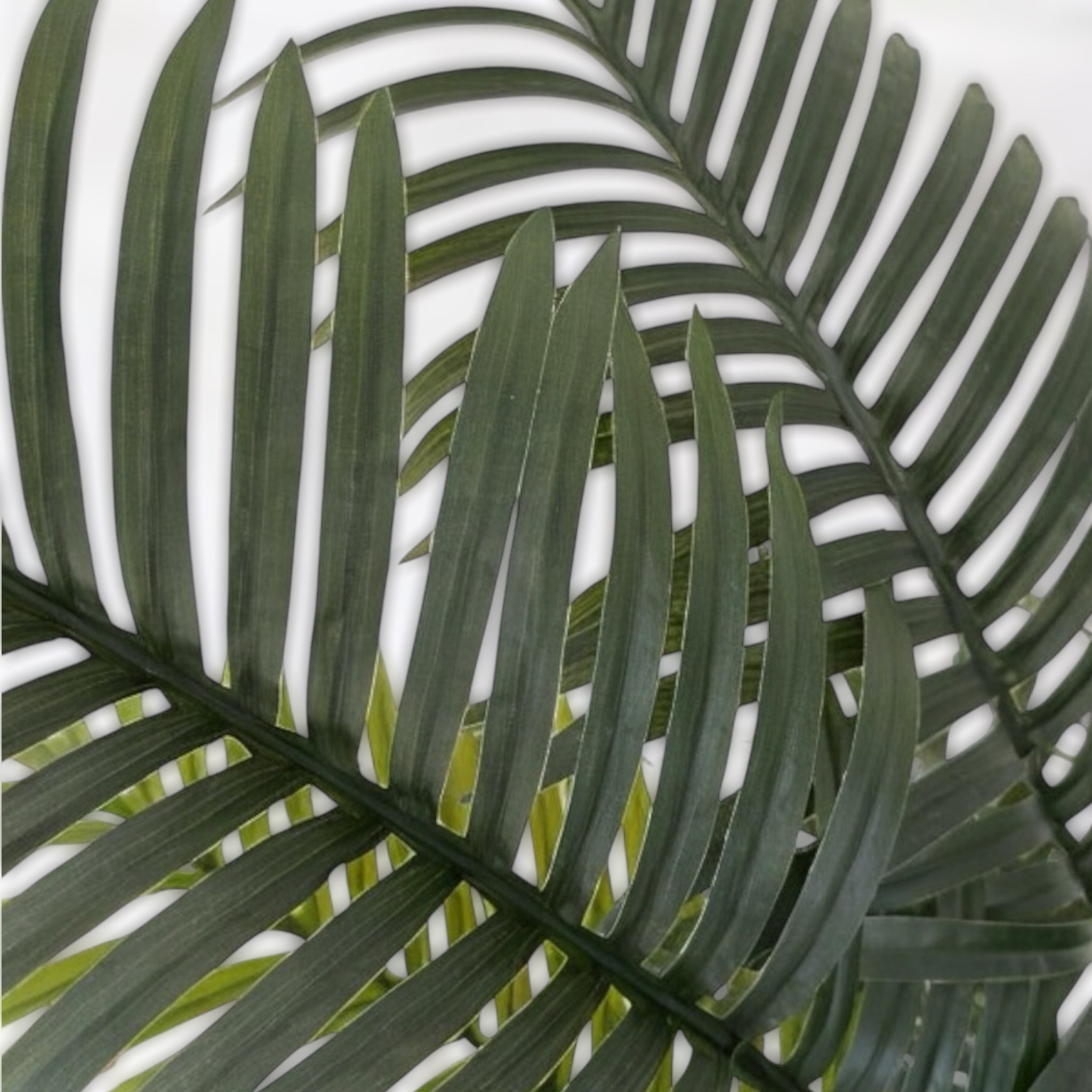 Künstliche Phoenix Palme